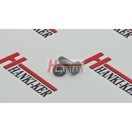 Lemken csavar M10*33 30111355