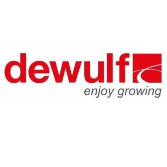 Dewulf